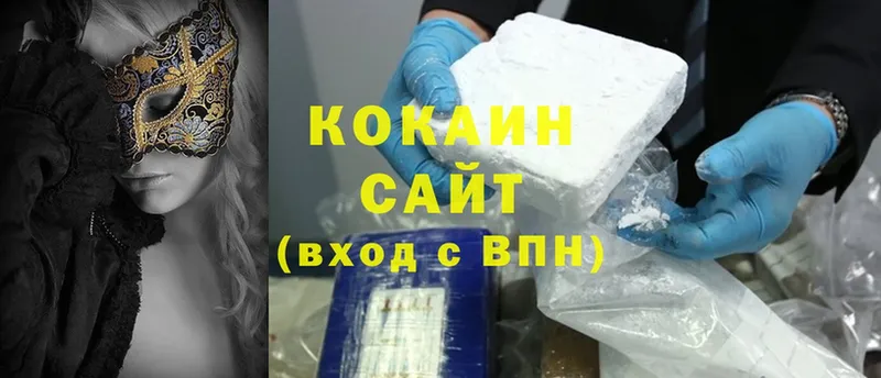 продажа наркотиков  Удомля  блэк спрут   COCAIN Fish Scale 